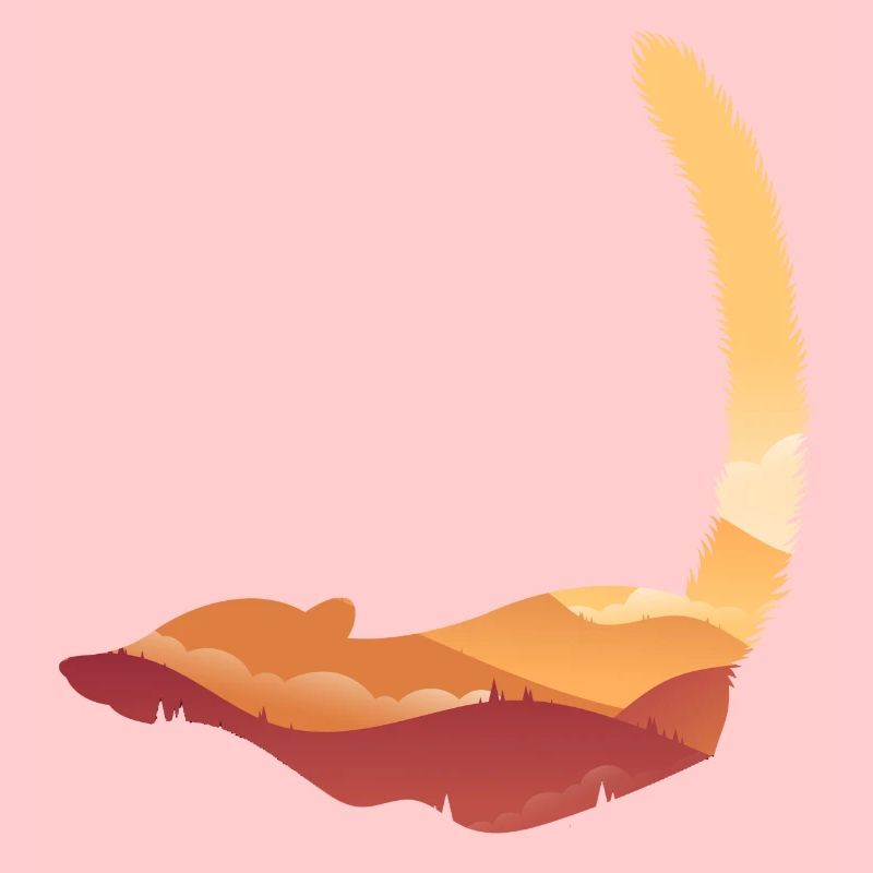 Coati