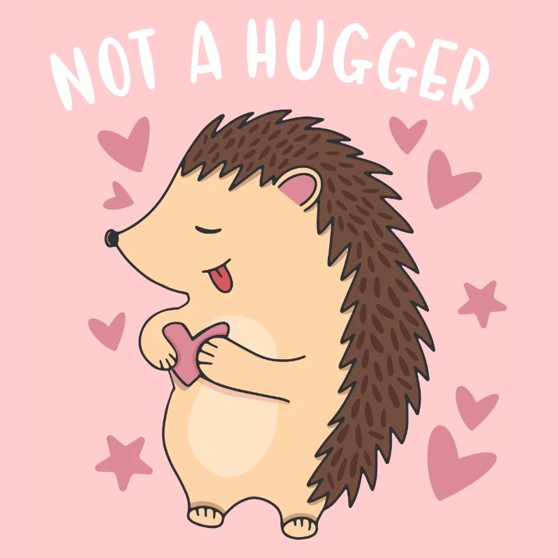 Hedgie Not A Hugger Hedgehog