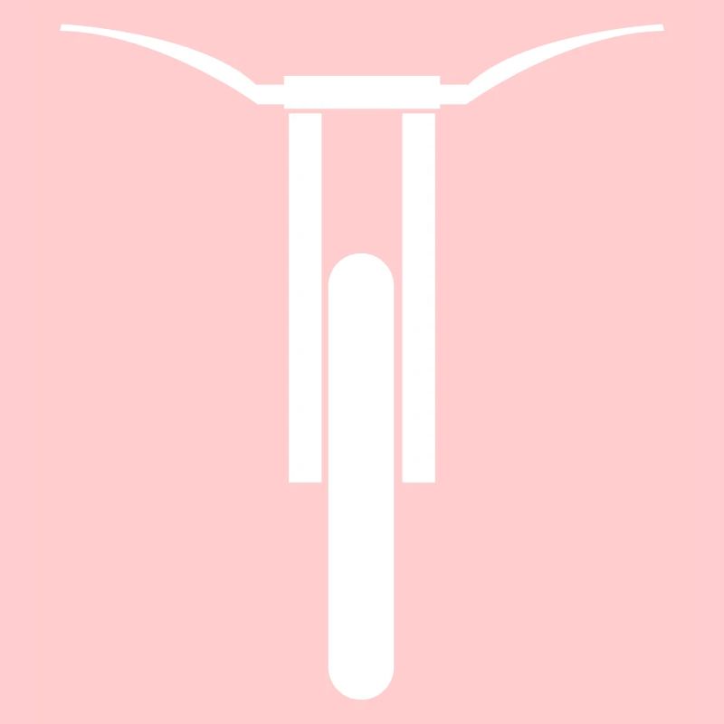 Downhill mountain bike