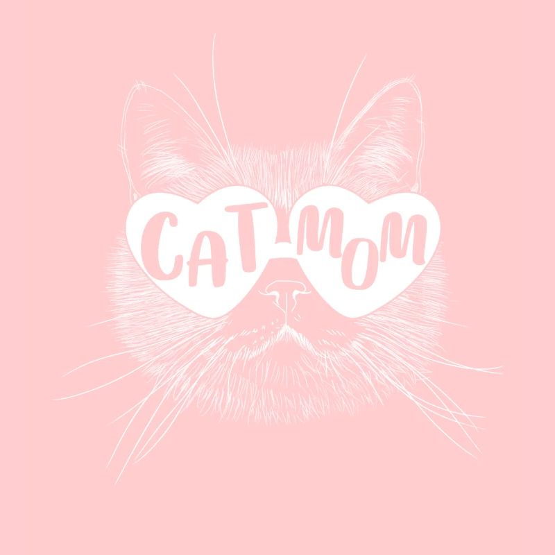 Chat maman