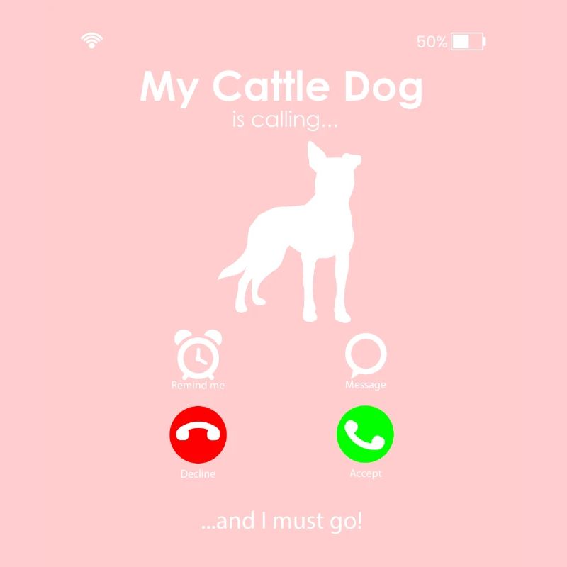 Australian Cattle Dog