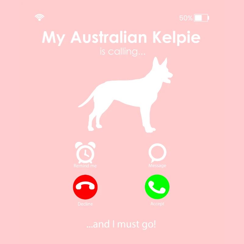 Australian Kelpie