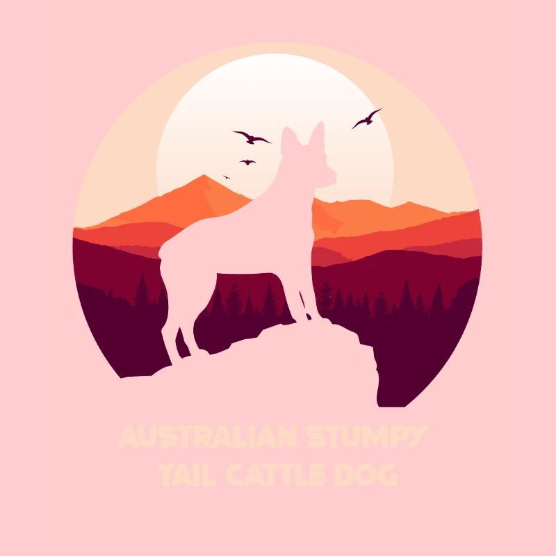 Australian Stumpy Tail Cattle Dog