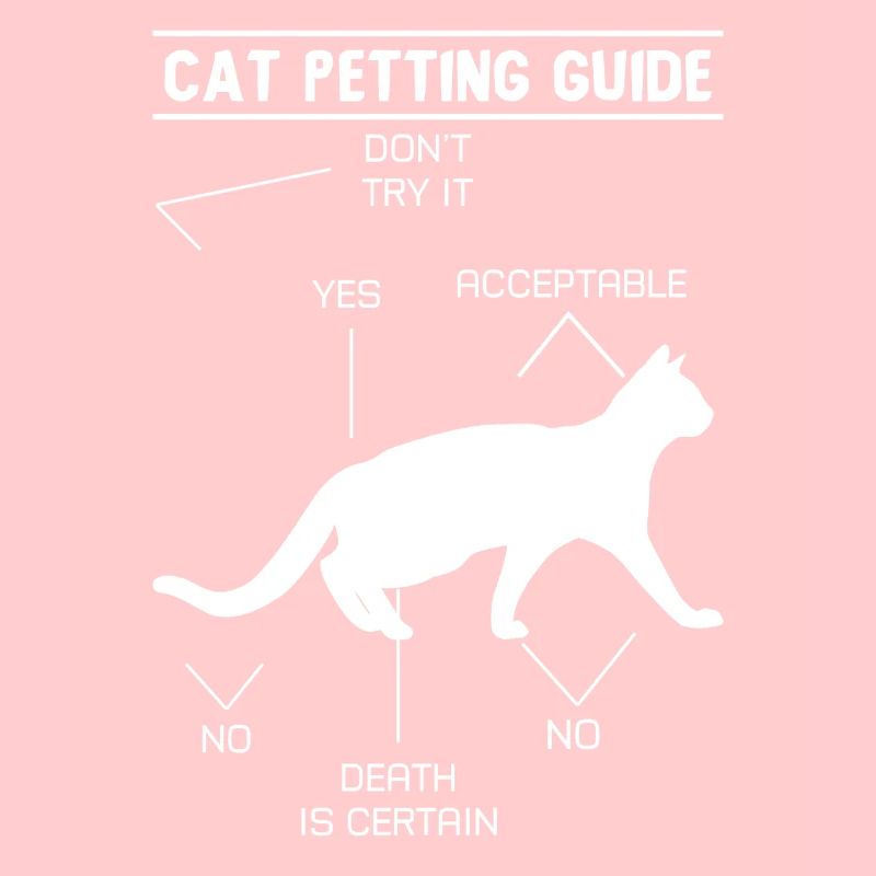 cat petting guide