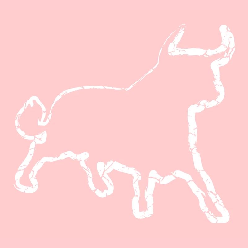 Stier | Büffel | Toro | Bulle