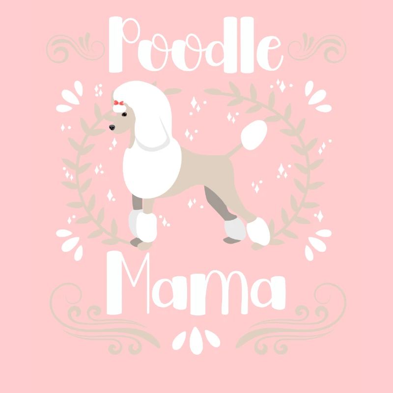 Caniche Mama Chien mignon Caniche standard