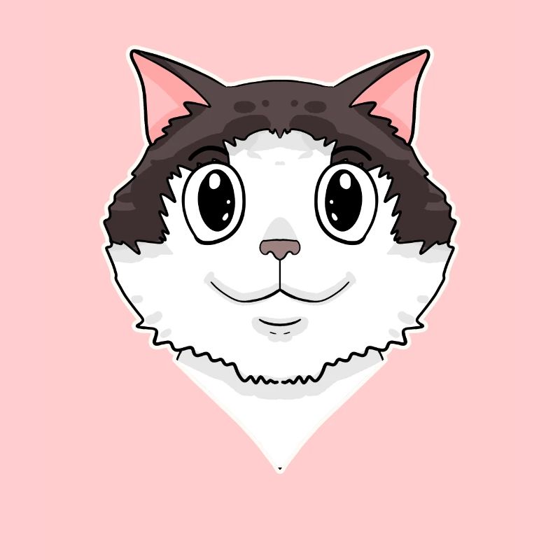Ragdoll Cat