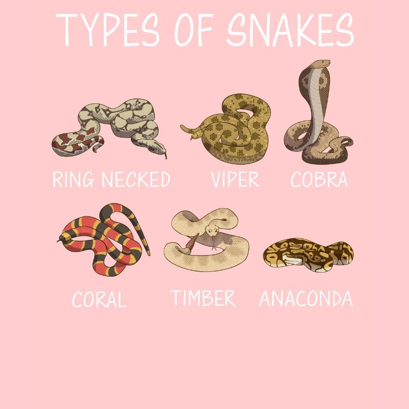Serpent, Serpent, Animal