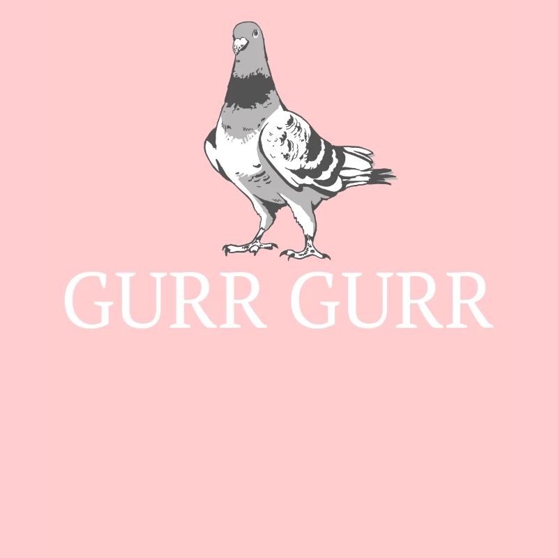 Taube Tauben Tier Vogel