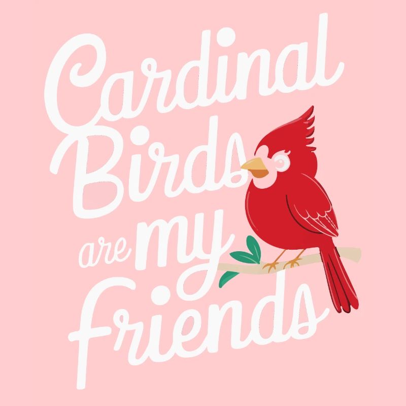 Kardinal Rotkardinal Vogel Roter Kardinal