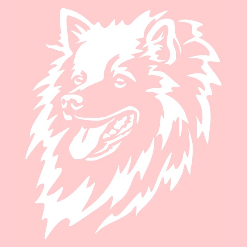 Spitz Kopf "Black Edition"