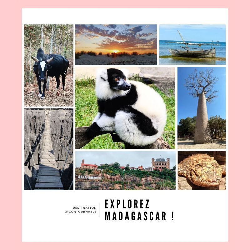 Souvenirs de Madagascar