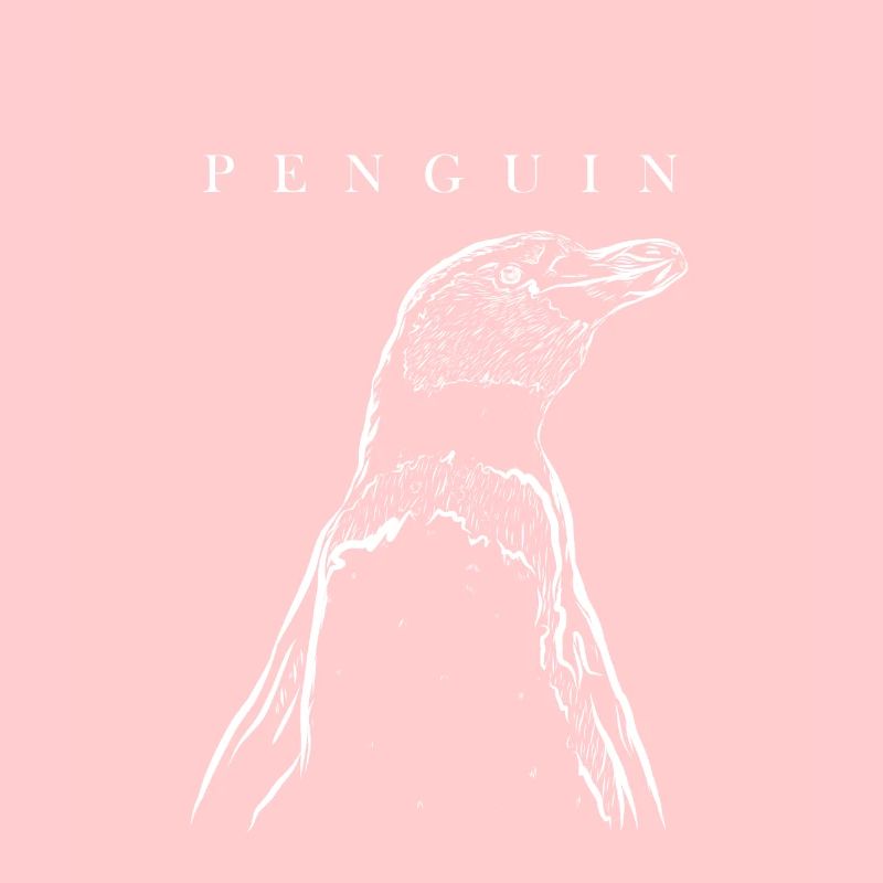 Seevogel Königspinguin Kaiserpinguin Pinguin