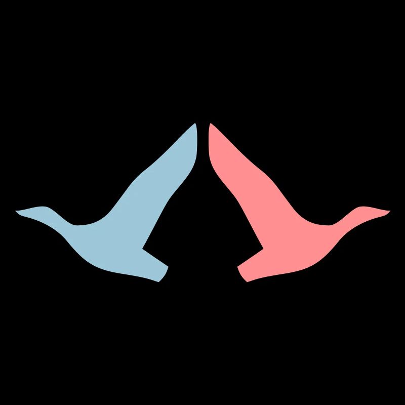 ★ Couleurs de conception modifiables ★ Deux oiseaux en vol