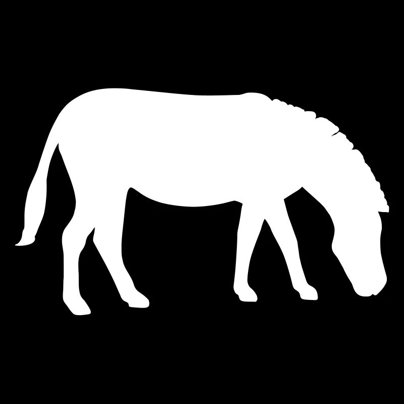 Zebra Silhouette Tier Afrika Tiere