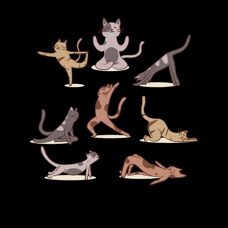 Yoga de chat, relaxation et méditation avec chat