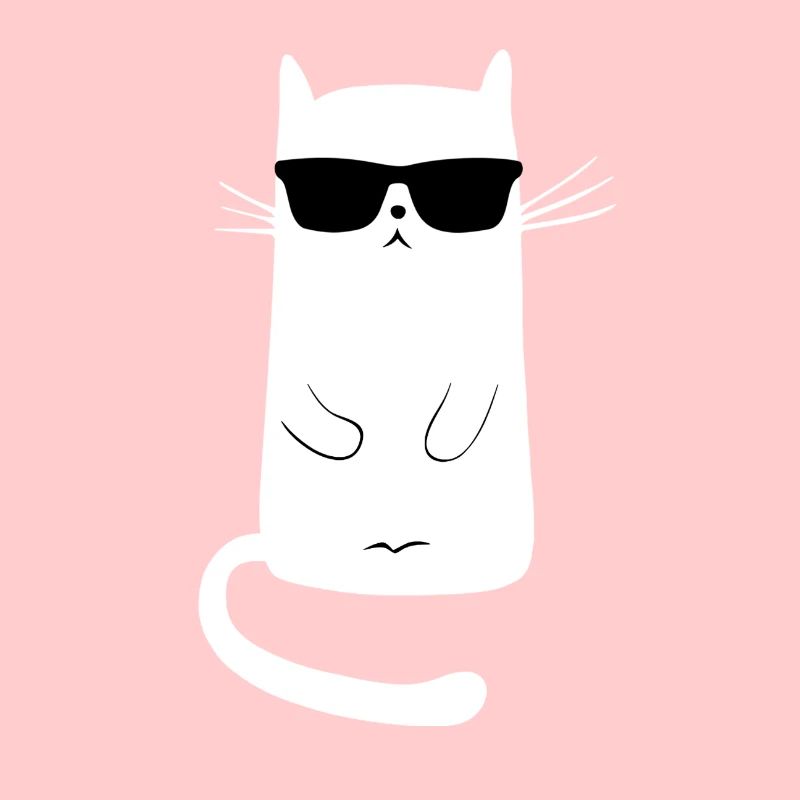 katze cool | keep calm