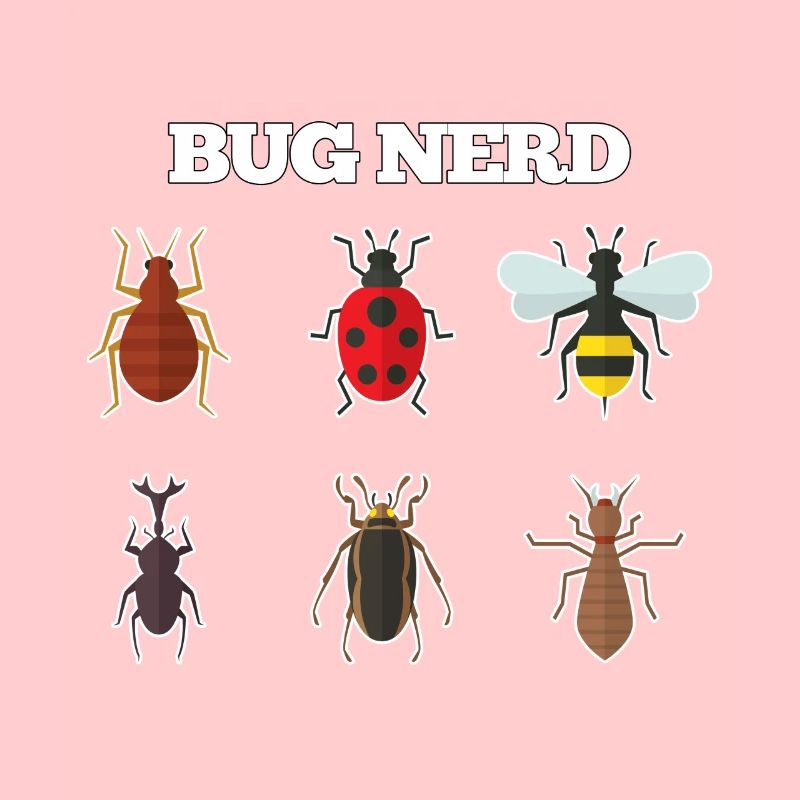 Bug Nerd