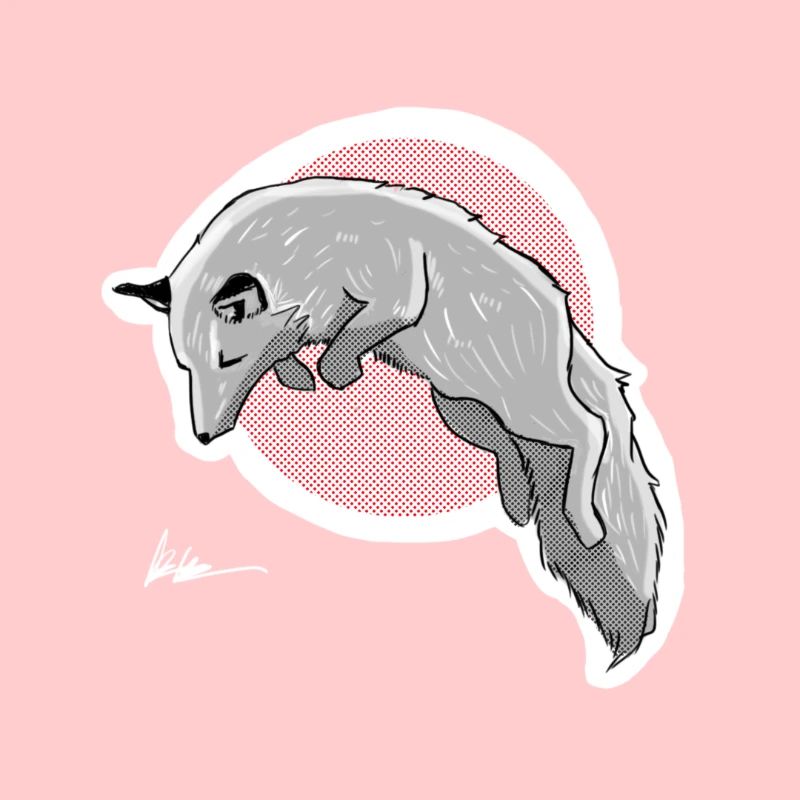 Jagd Schneefuchs