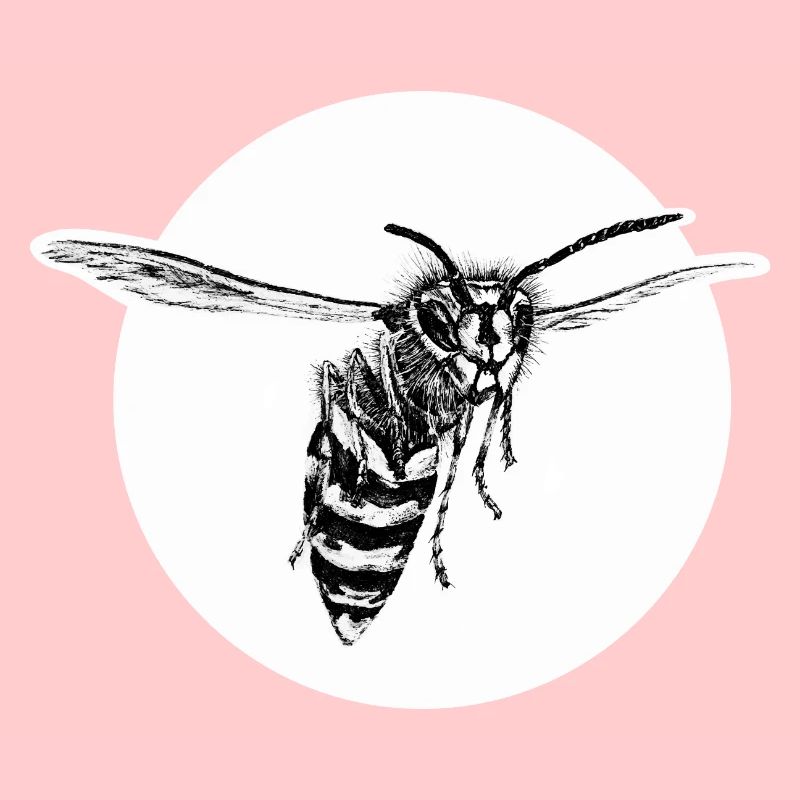 Guêpe - Abeille - Insecte