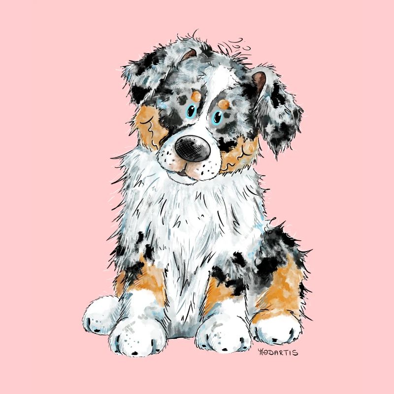 Australian Shepherd Hund Aussie