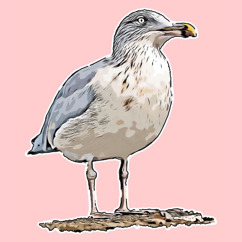 Möwe