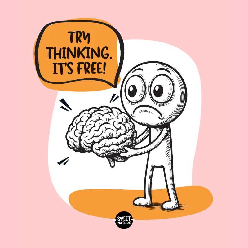 Cerveau. Un peu d’assemblage est requis.