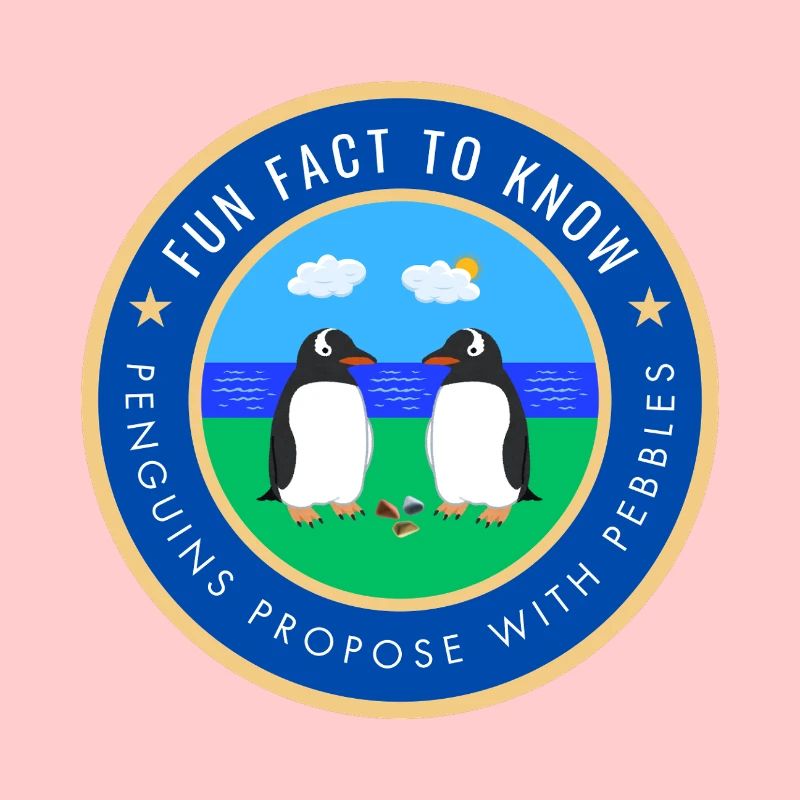 Penguins propose with pebbles