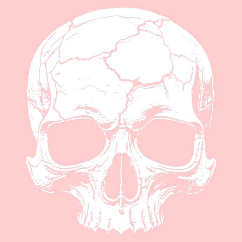 Abstract skull with cracks