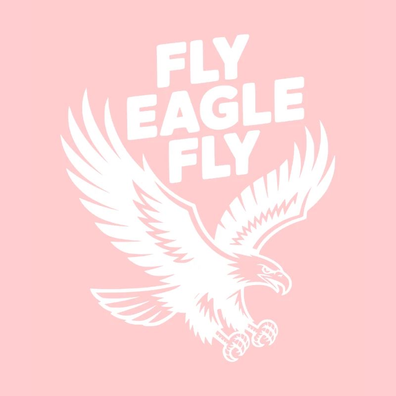 Fly Eagle Fly