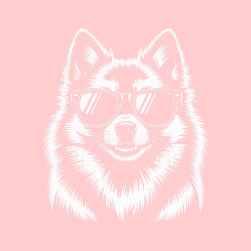 White Spitz Dog Pomeranian