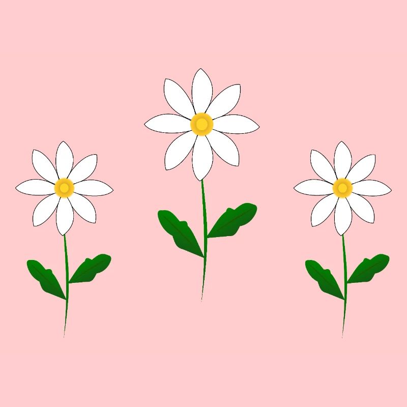 Fleurs de naissance d’avril Cottagecore