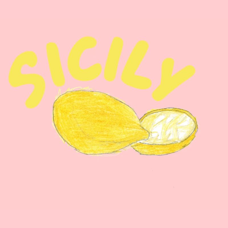 Illustration des citrons de Sicile - Sicile