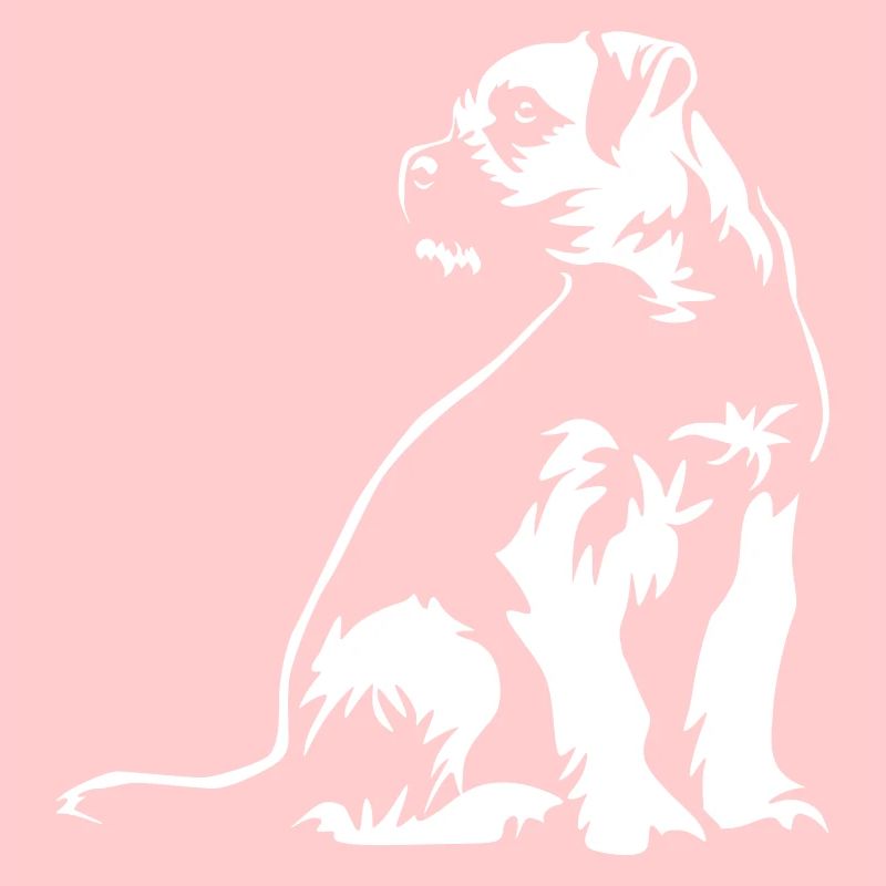 Border Terrier « Édition noire »