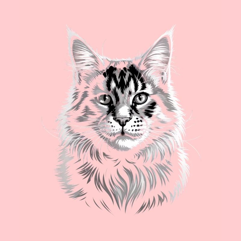 Maine coon