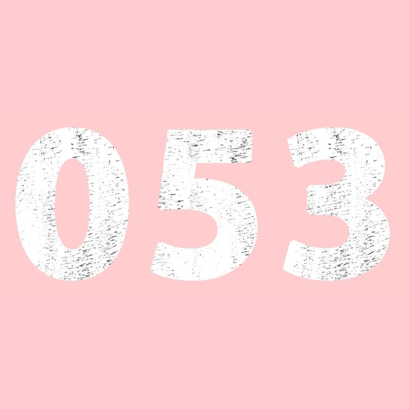053 Enschede, Haaksbergen, Losser, Overdinkel, Glane