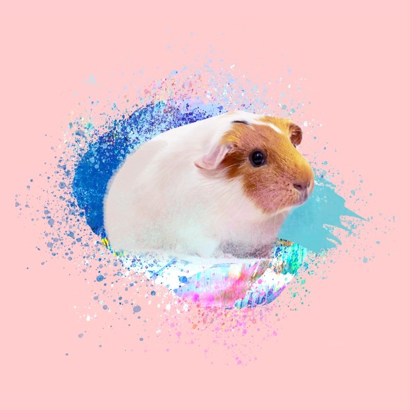 Cochons d’Inde, graffiti, peinture, coloré