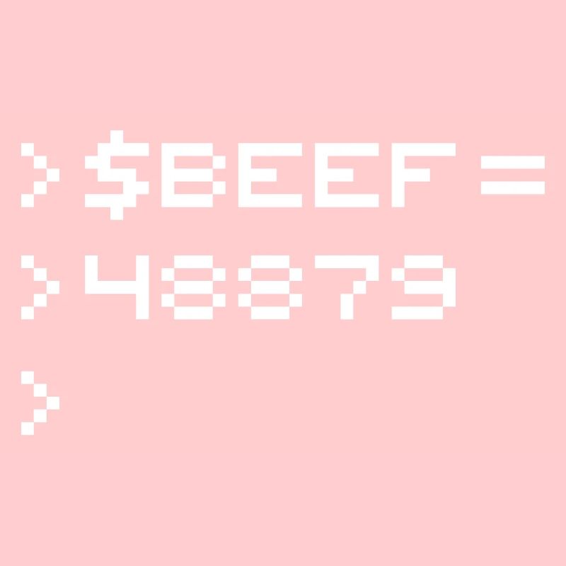 BEEF 8-Bit Code Nerd Pixel Terminal Retro