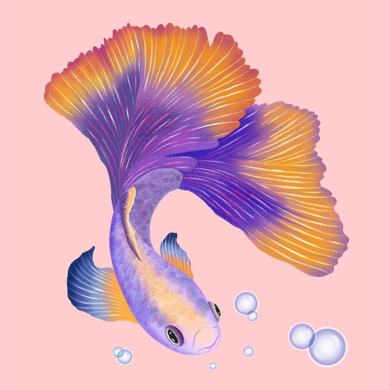 Fisch. Elegant unter Wasser