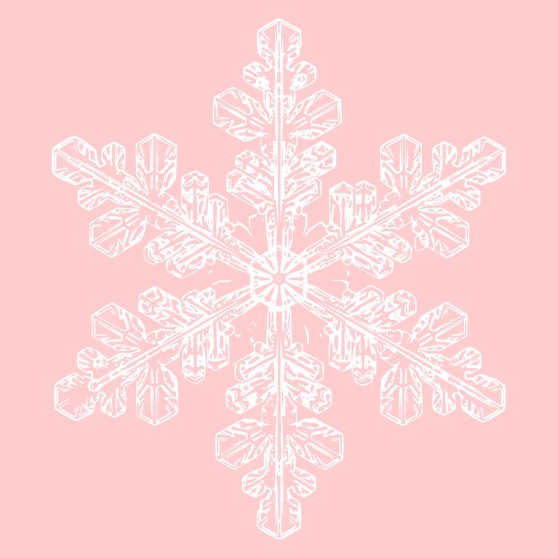 snowflake 6 white