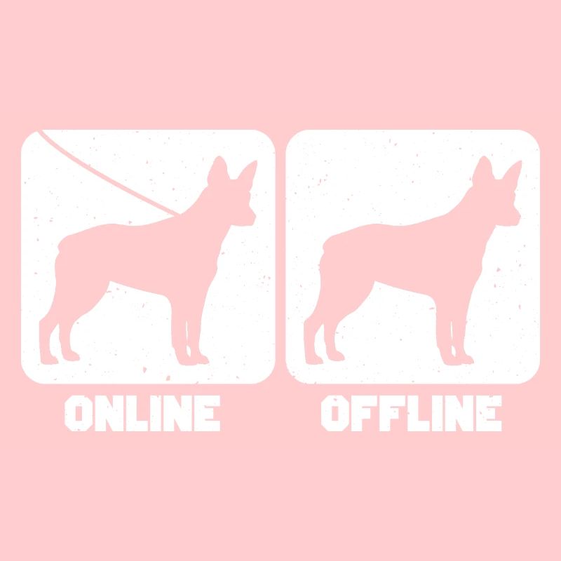 Chien de bétail australien à queue de souche