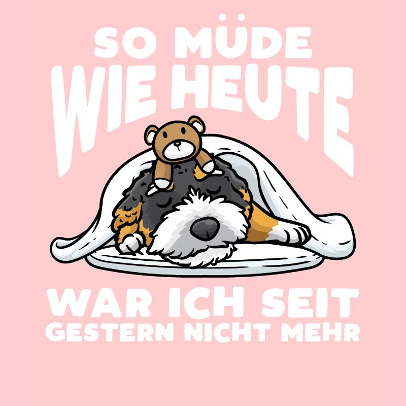 Bernedoodle Hund Mit Kuscheltier Schlaf Schlummern