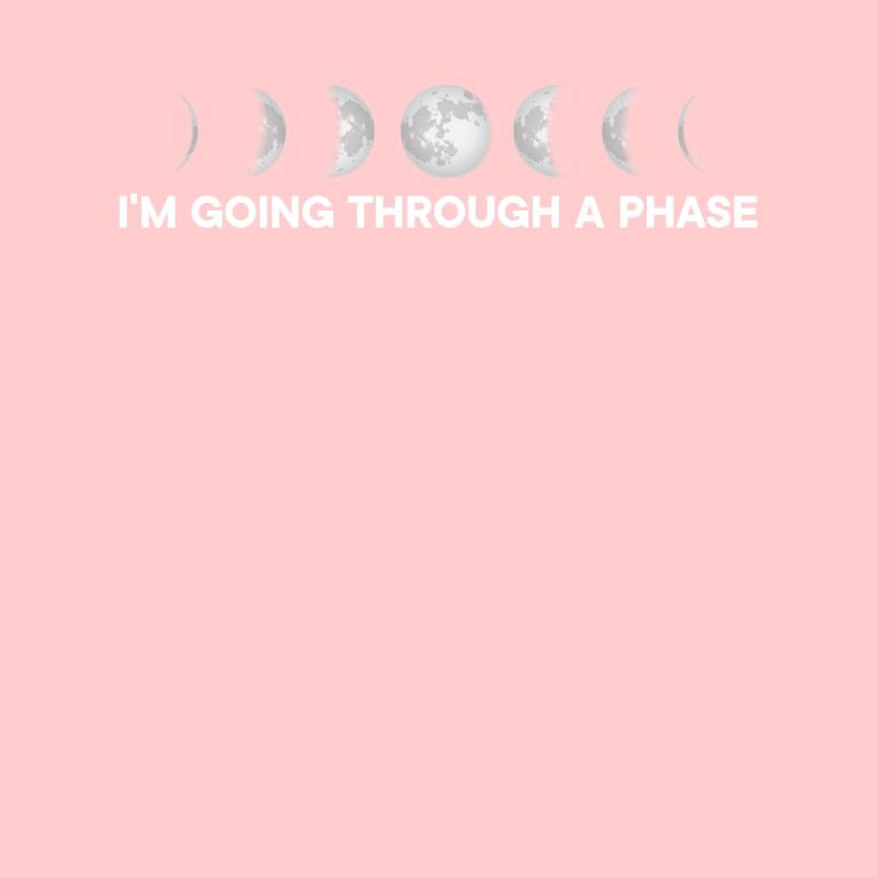 I'm Going Through A Phase Lunar Eclipse Moon Phase