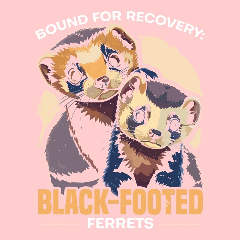 Gefährdete Spezies Schwarzfußfrettchen