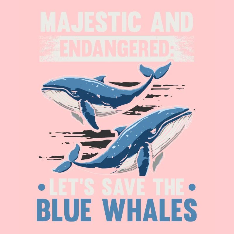 Gefährdete Arten Blauwal Tierrechte