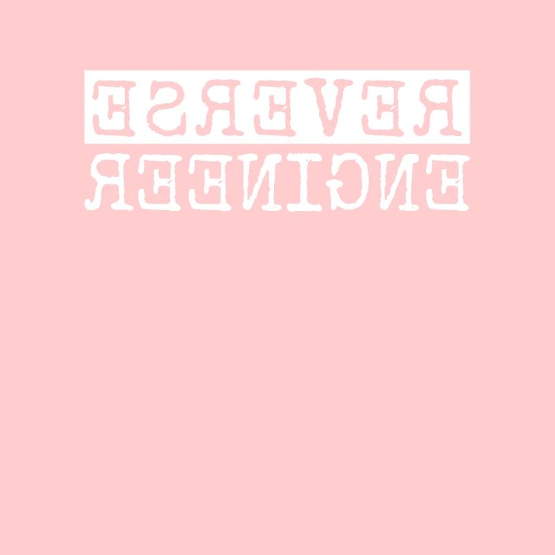 Reverse Engineer Softwareingenieur Developer