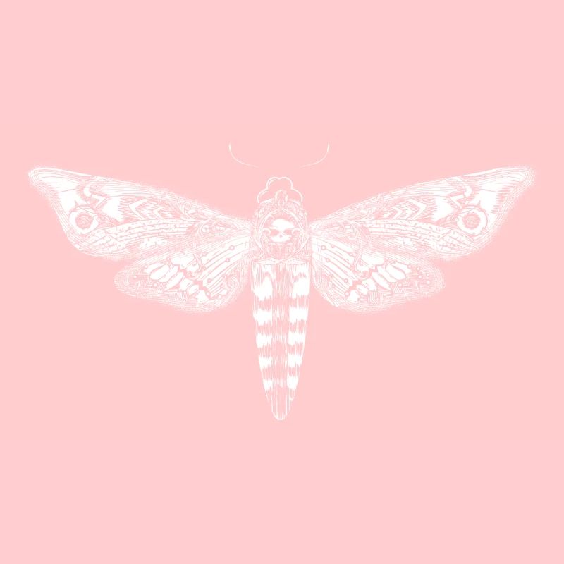 Dessin d'un essaim de crâne blanc