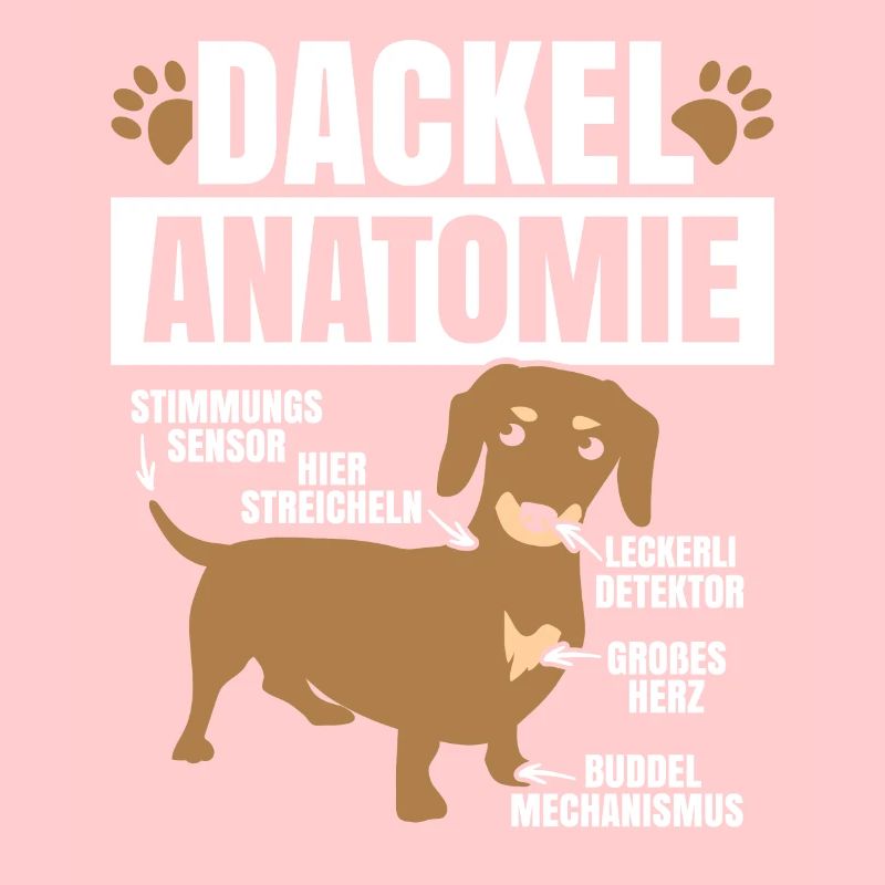 Dackel Anatomie