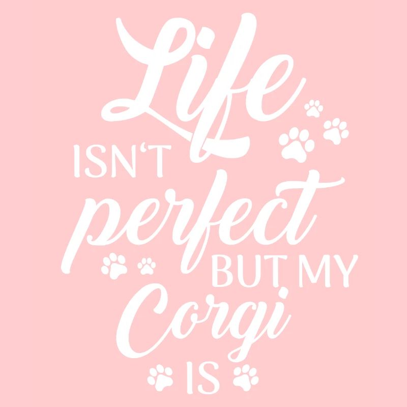 Pembroke Welsh Corgi Chiens Chiens