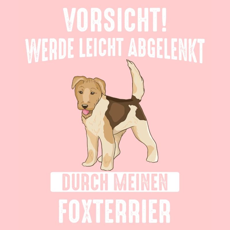 Foxterrier Drahthaar Hund